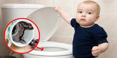 Atasi Toilet Bau dengan Ampas Kopi: Trik Alami Ini