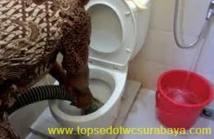 Sedot WC Karangandong - Borongan & Per m³ Transparan