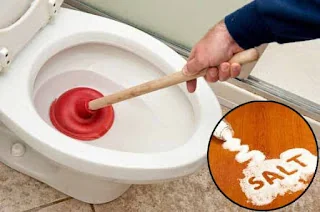 WC Cepat Penuh Padahal Baru Disedot? Ini 5 Penyebabnya