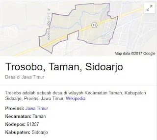 Sedot WC Trosobo Sidoarjo: Solusi WC Mampet Hari Ini Juga